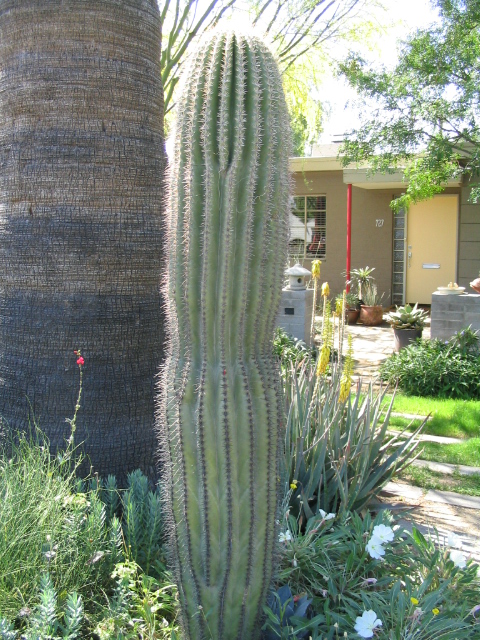 458x617 pixels (266K)